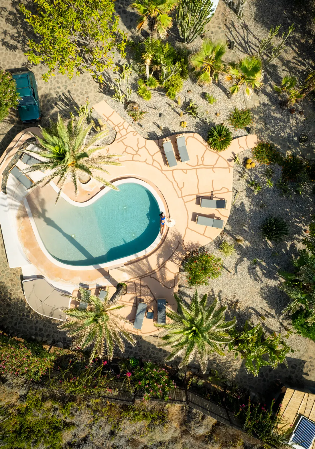 Una piscina fra le palme e i sentieri del giardino, vista dall’alto