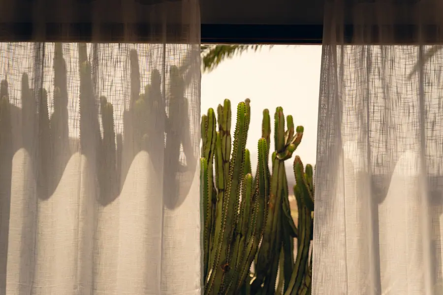 Casa Aurora, Fuerteventura: fotografia di Matteo Mizzoni