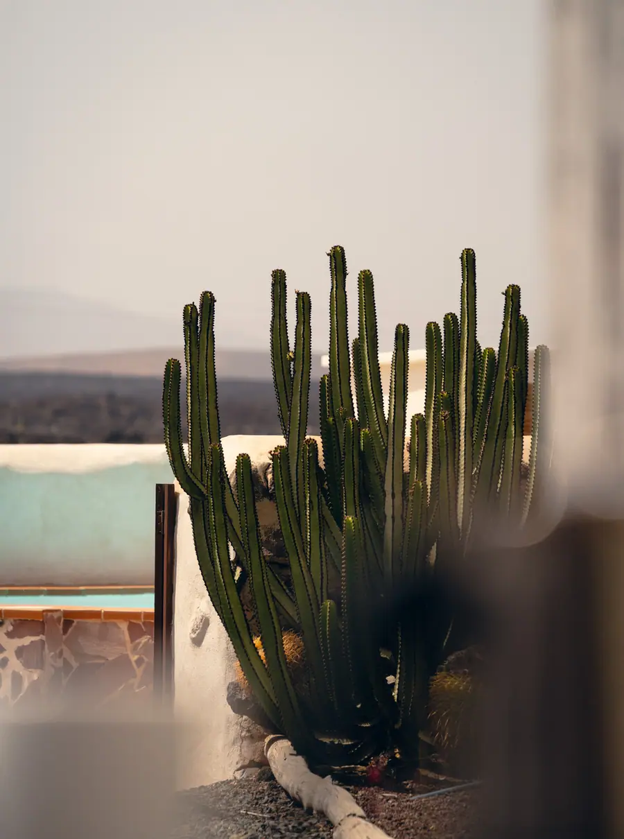 Casa Aurora, Fuerteventura: fotografia di Matteo Mizzoni