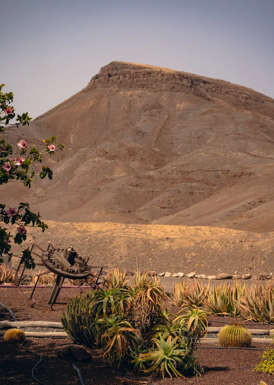 Casa Aurora, Fuerteventura: fotografia di Matteo Mizzoni