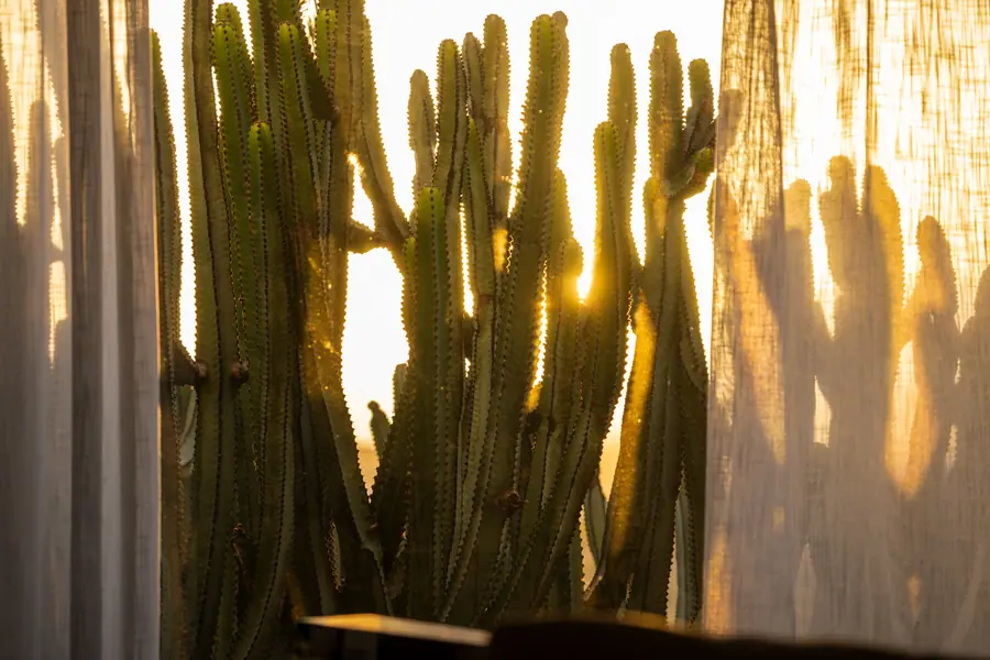 Casa Aurora, Fuerteventura: fotografia di Matteo Mizzoni