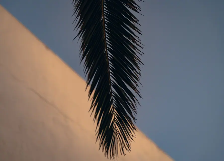 Casa Aurora, Fuerteventura: fotografia di Matteo Mizzoni